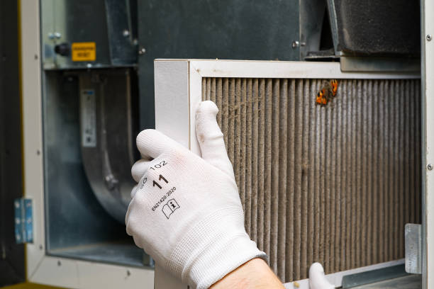Best Home Air Vent Cleaning  in Graysville, AL